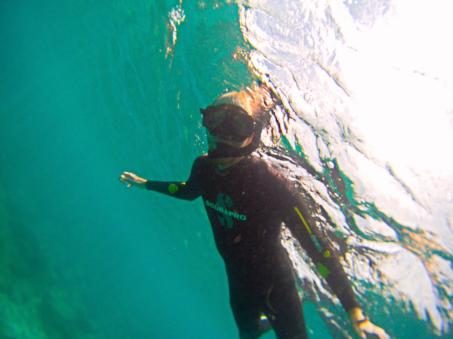 Galapagos - Snorkelling Española Island