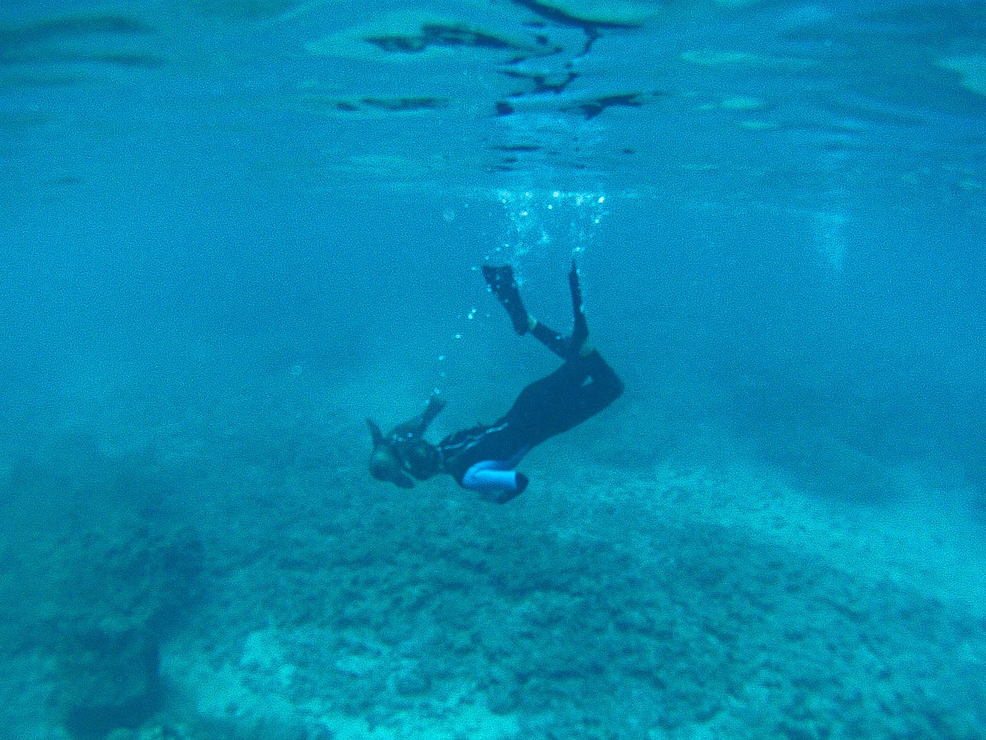 Galapagos - Snorkelling Española Island