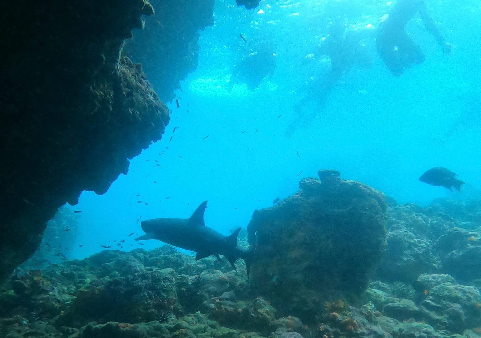 Galapagos - Snorkelling Devil's Crown