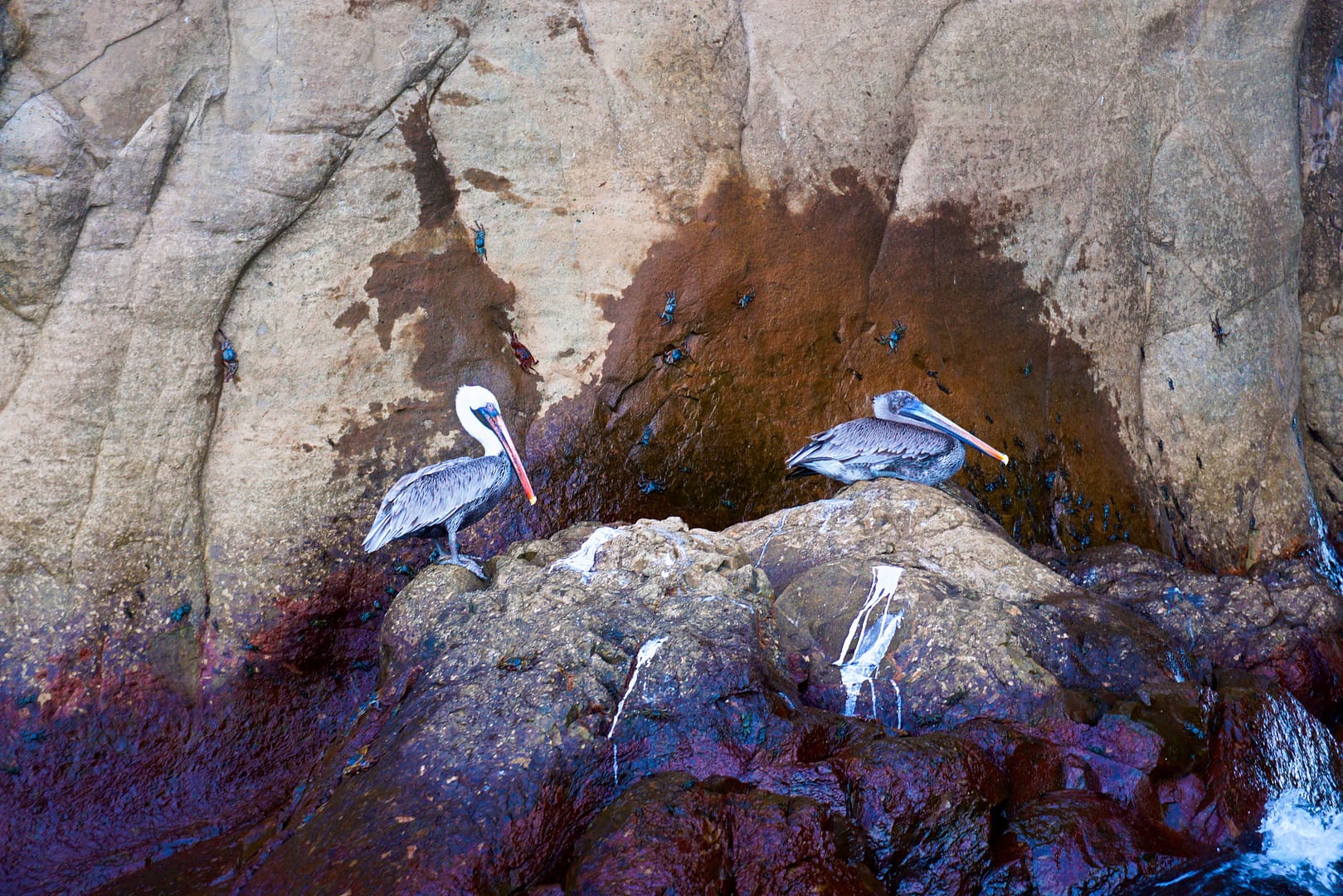 The Galapagos - San Cristóbal Island