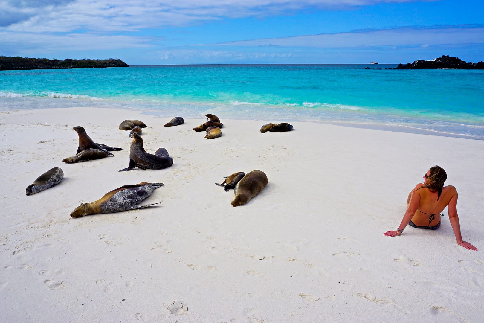 The Galapagos - Española Island