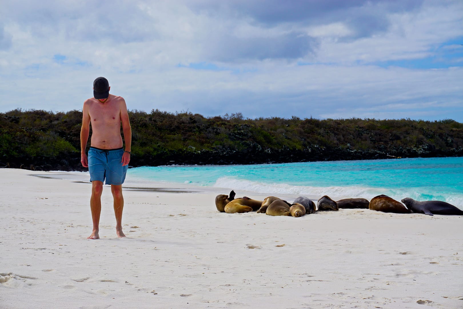 The Galapagos - Española Island