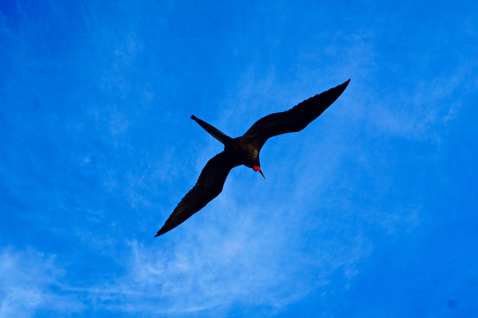 The Galapagos - San Cristóbal Island