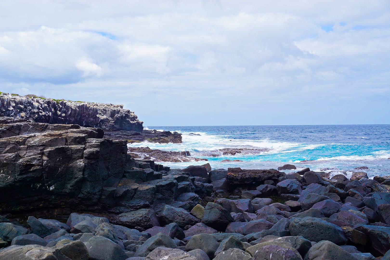 The Galapagos - Española Island