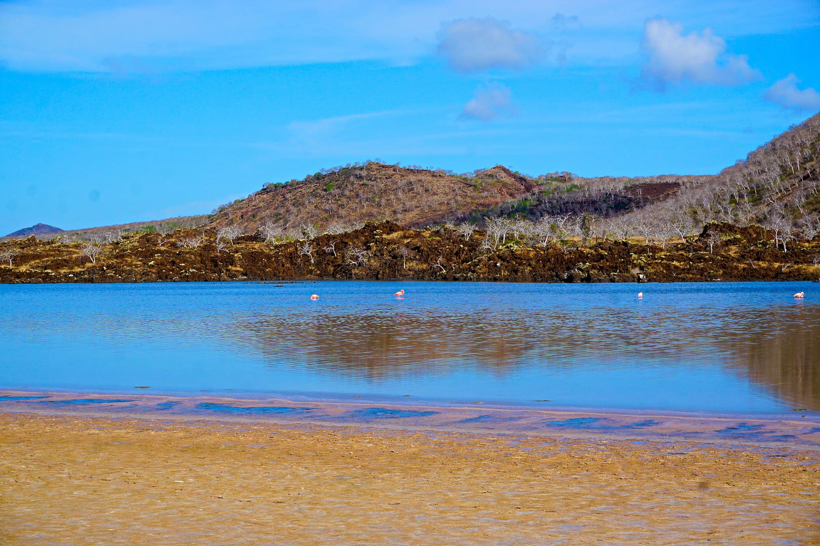 The Galapagos - Floreana Island