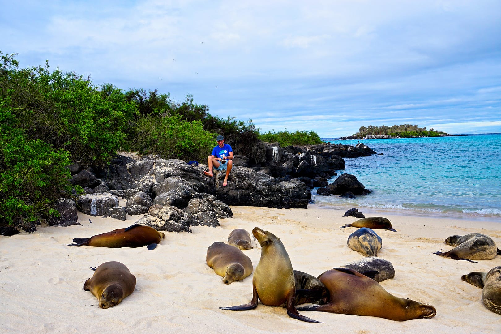 The Galapagos - Santa Fe Island