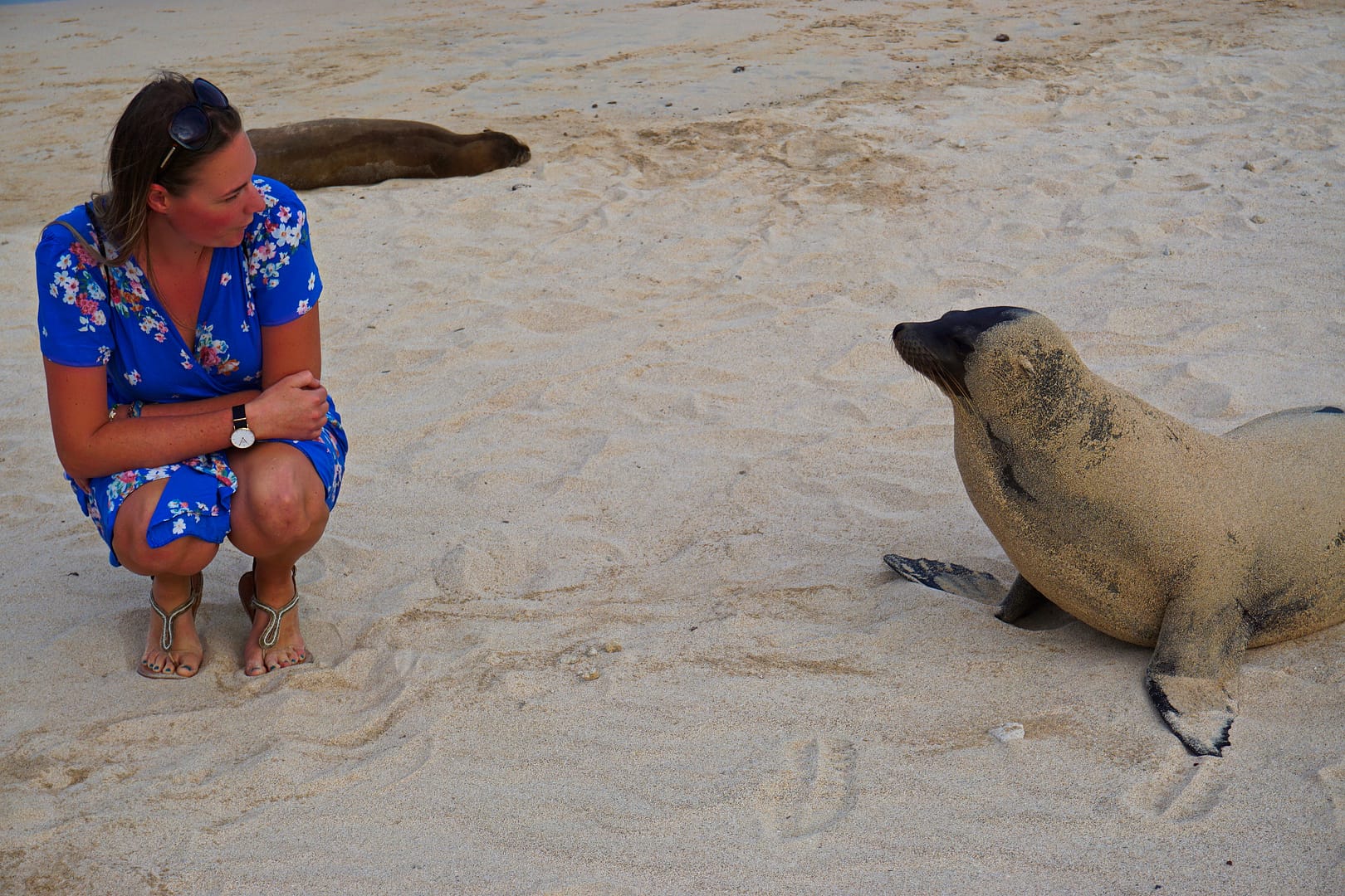 The Galapagos - Santa Fe Island