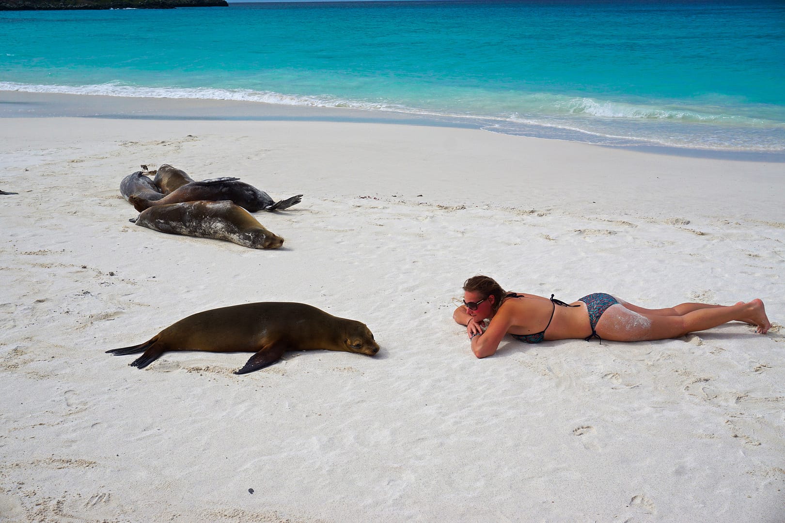 The Galapagos - Española Island