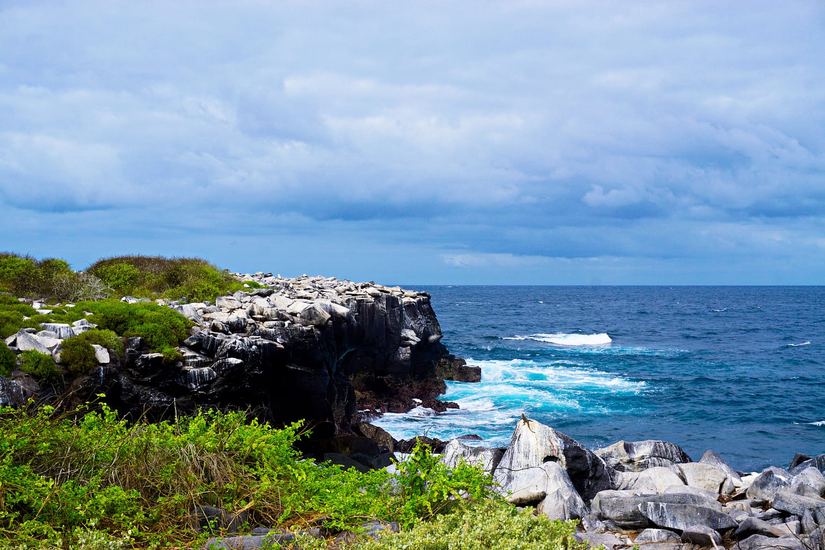 The Galapagos - Española Island