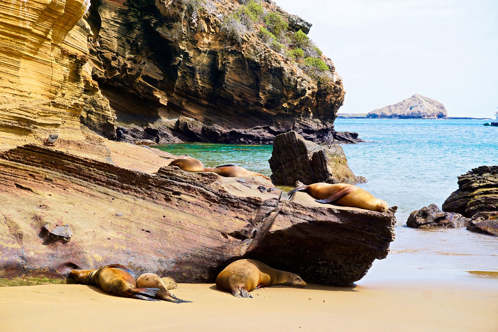 The Galapagos - San Cristóbal Island