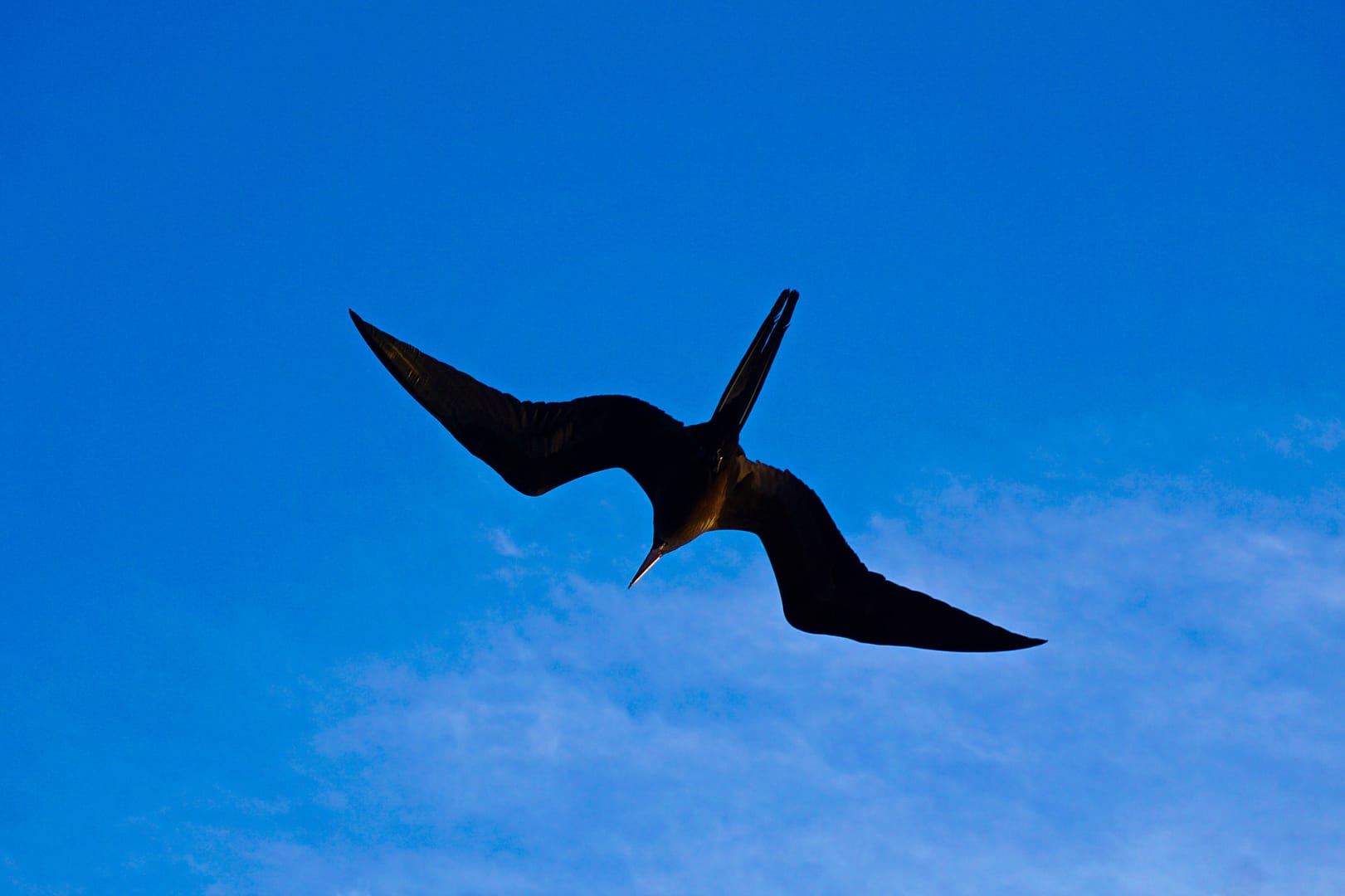 The Galapagos - San Cristóbal Island