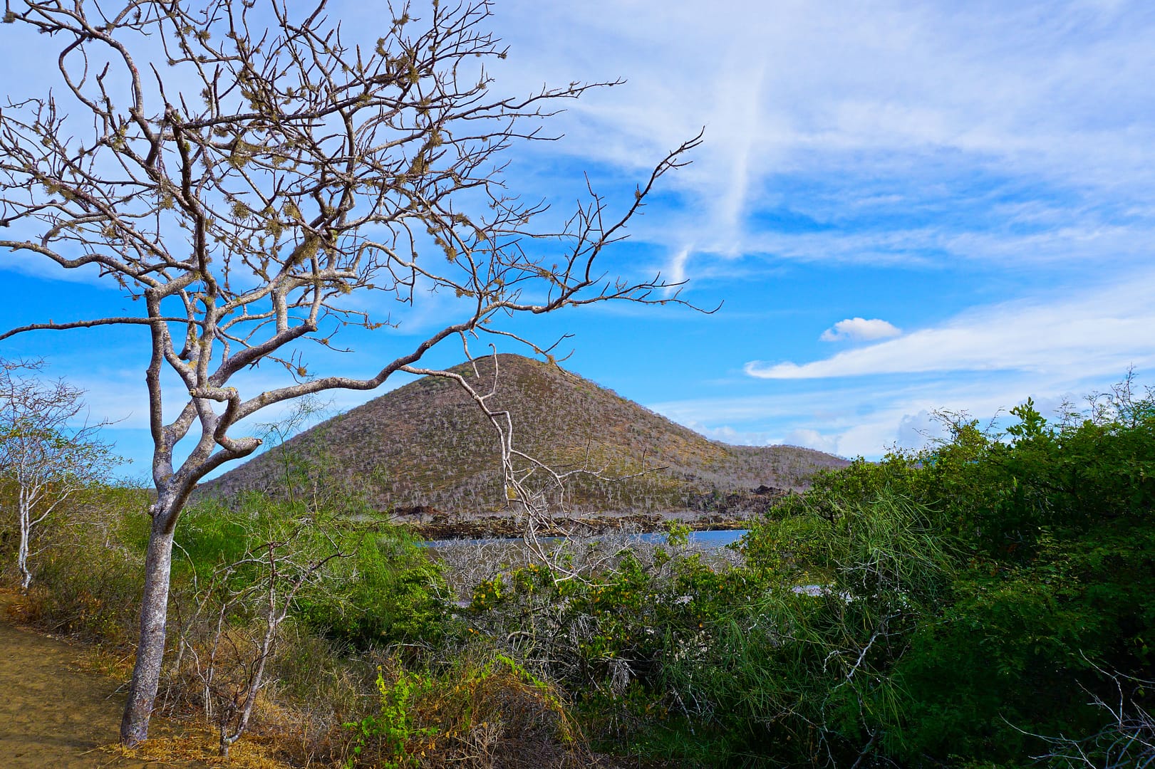 The Galapagos - Floreana Island