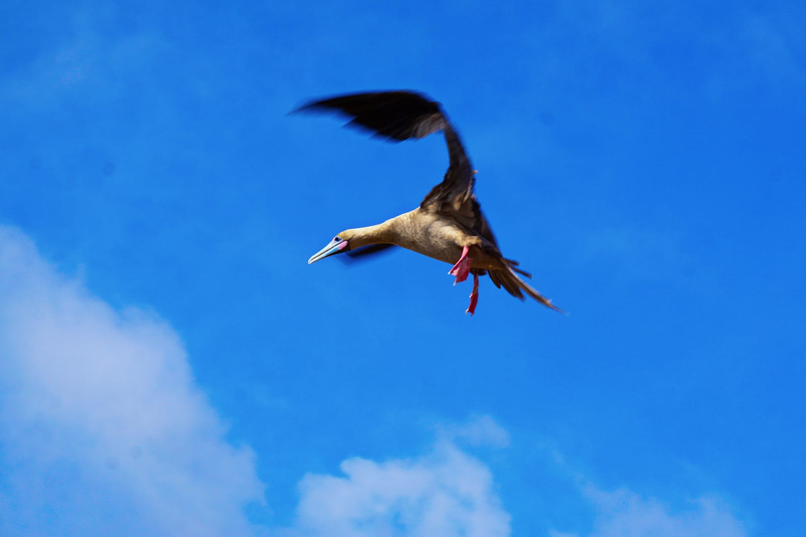 The Galapagos - San Cristóbal Island