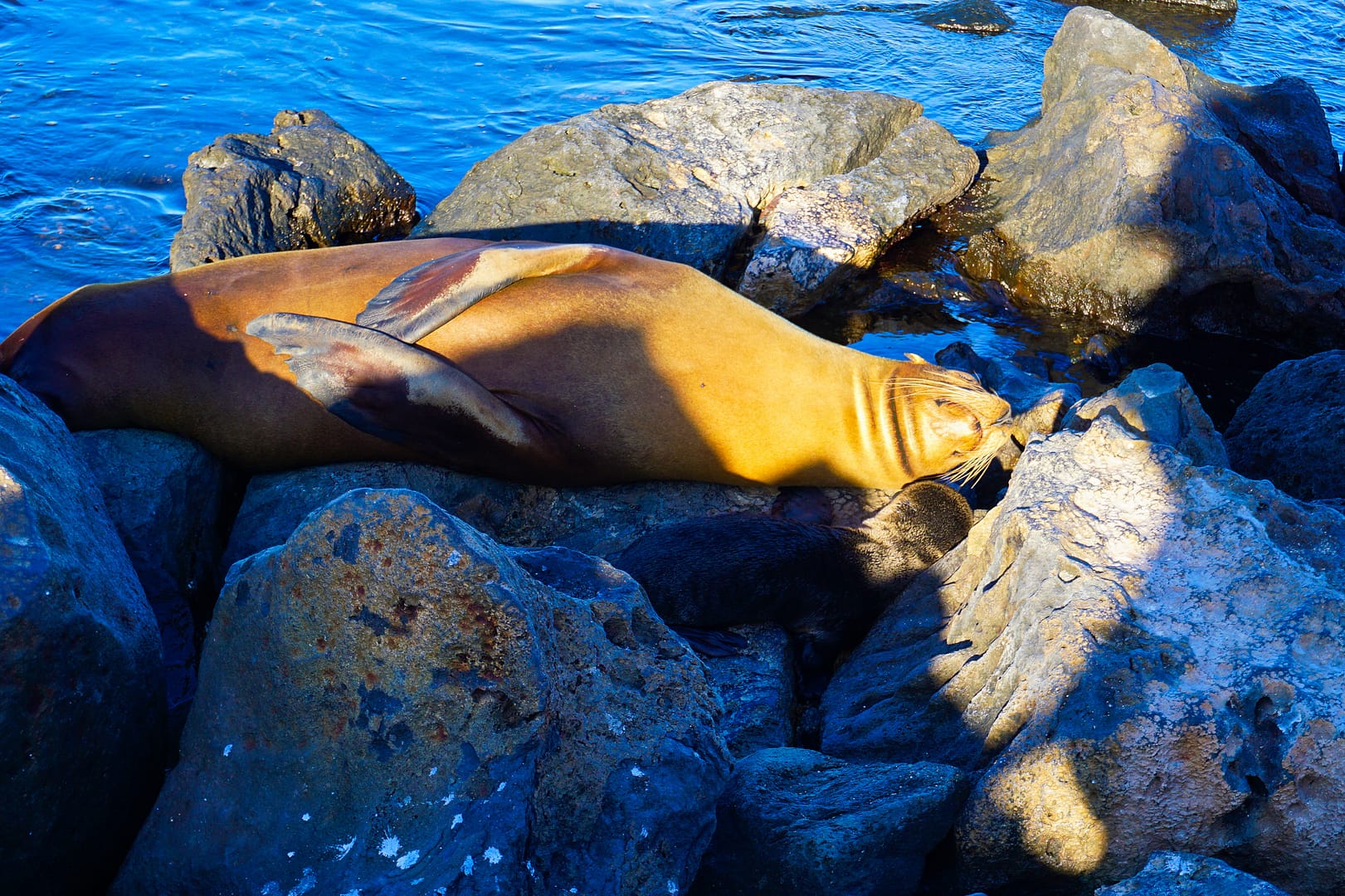 The Galapagos - San Cristóbal Island