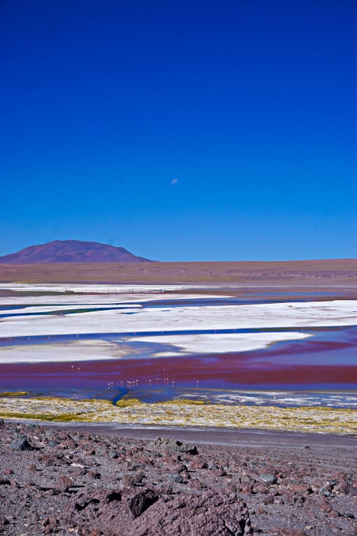 Uyuni Tour
