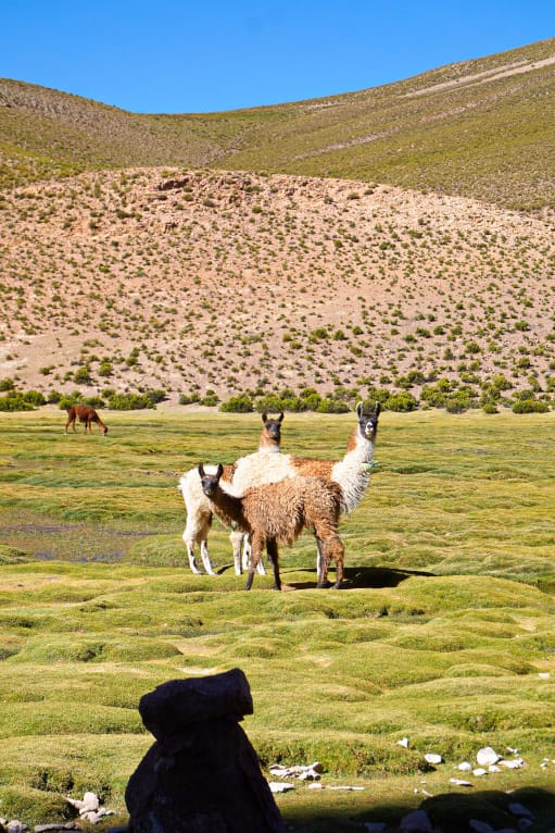 Uyuni Tour