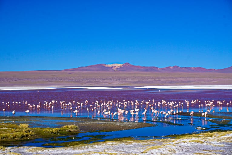 Uyuni Tour