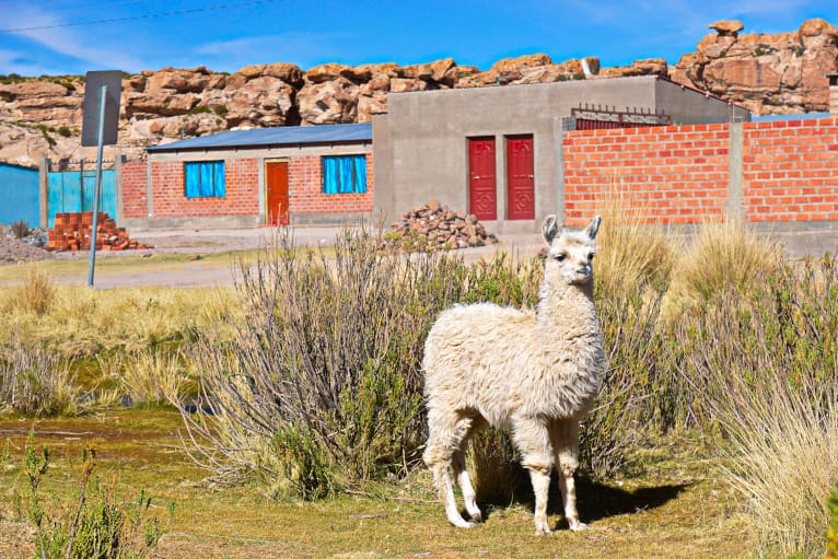 Uyuni Tour