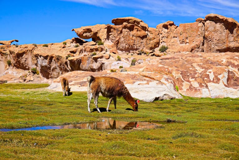Uyuni Tour