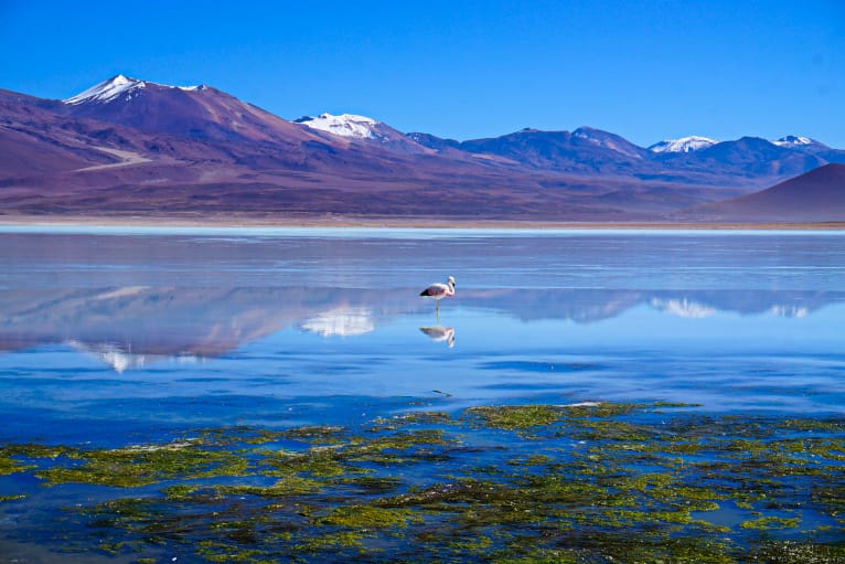 Uyuni Tour