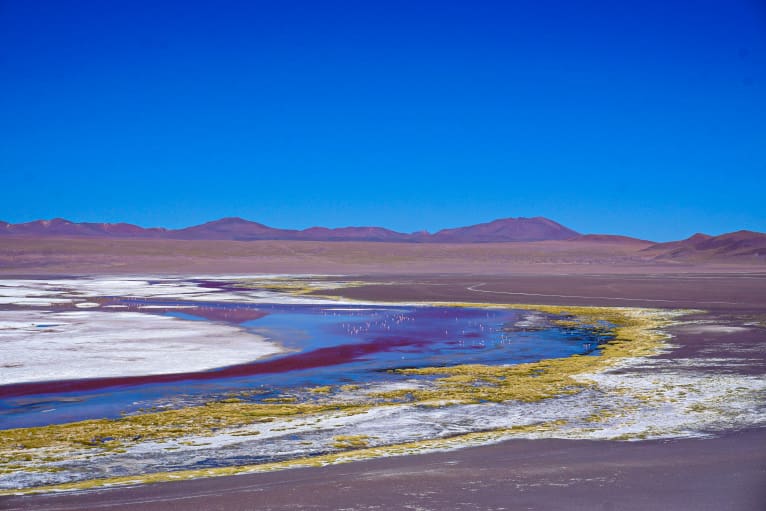 Uyuni Tour
