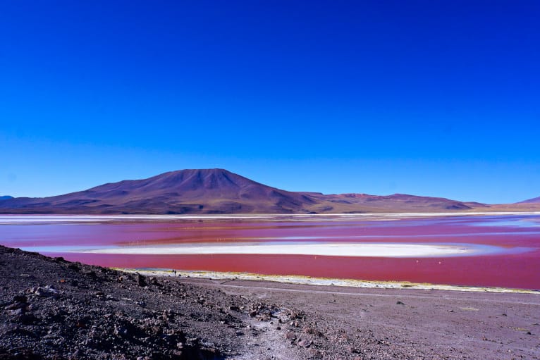 Uyuni Tour