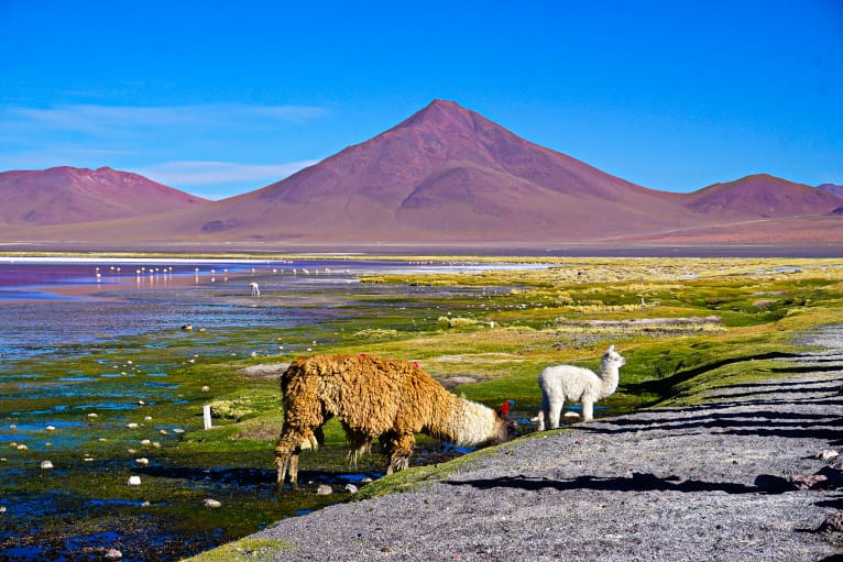 Uyuni Tour
