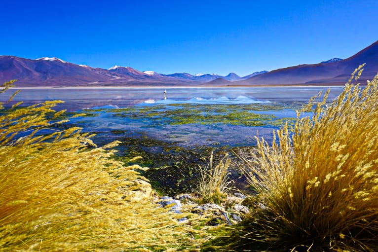 Uyuni Tour