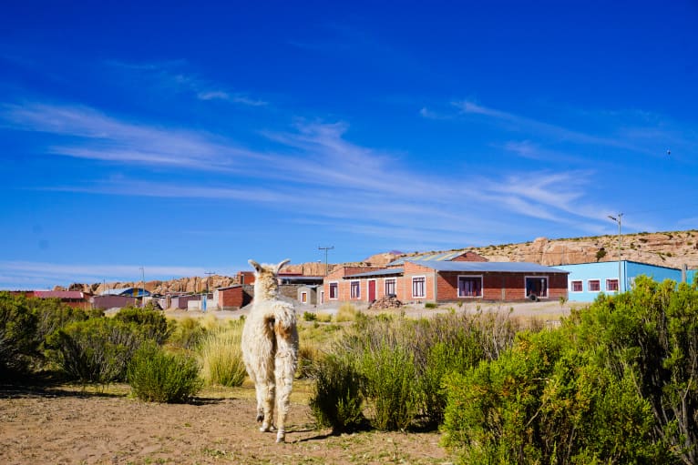 Uyuni Tour