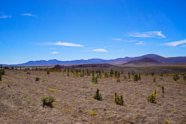 Uyuni Tour